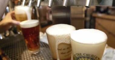 Another Trump 'Golden Age' Effect? New Poll Says Republicans Are Drinking Less – RedState