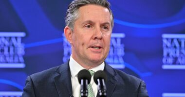 Health Minister Mark Butler told the National Press Club in Canberra on Wednesday the National Disability Insurance Scheme had become too big since it debuted in 2013