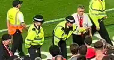 Police are seen speaking to the spectator later in the match before he was removed