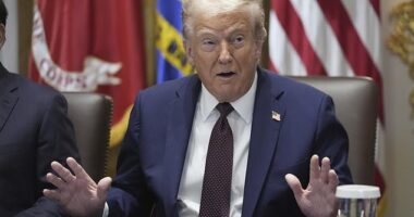 A federal appeals court ruled Friday that President Donald Trump had no legal right to impose sweeping tariffs but left in place for now his effort to build a protectionist wall around the American economy