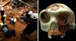 Archaeologists Discover Gruesome Evidence That Prehistoric Ancestors Ate Toddlers Like Prey