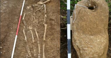 Archaeologists perplexed to find West African ancestry in early medieval England
