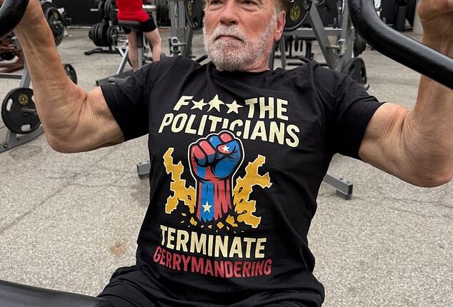 Former California Governor Arnold Schwarzenegger donned an expletive-laden shirt to troll incumbent Gavin Newsom over his plans to redraw districts in the state