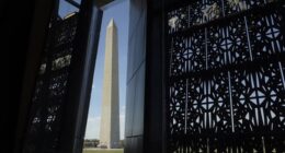 Arrest at the National Mall Has Progressives Upset – HotAir