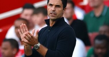 Mikel Arteta has warned Premier League rivals that Viktor Gyokeres can ‘destroy’ defences
