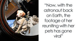 Astronaut Comes Back After 10 Long Months, Her Reunion With Dogs Melts Hearts Online