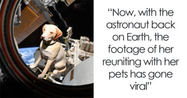 Astronaut Comes Back After 10 Long Months, Her Reunion With Dogs Melts Hearts Online