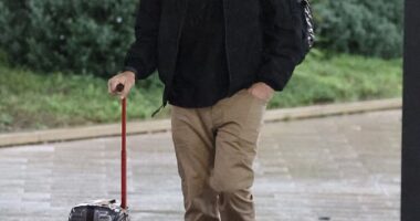Atlassian boss Mike Cannon Brookes (pictured) returned to Sydney on a commercial plane