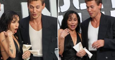 Austin Butler rescues Zoë Kravitz from bee at ‘Caught Stealing’ premiere