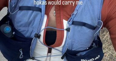 Claire Holt has shocked fans after revealing her life was recently in danger after she was chased by a black bear while out exercising. The Brisbane-born actress admitted she ran for life upon spotting the creature