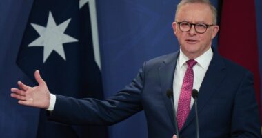 Australia’s Albanese says Israeli PM Netanyahu ‘in denial’ over suffering in Gaza