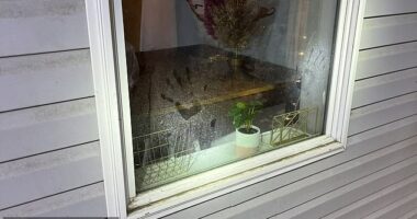 Chilling photos taken inside the Idaho home where Bryan Kohberger slaughtered four students have been released for the first time, including creepy handprints on a window