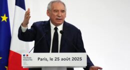 Billions wiped off value of French banks with Bayrou-led government on verge of collapse