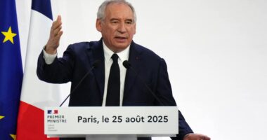 Billions wiped off value of French banks with Bayrou-led government on verge of collapse
