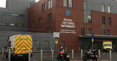 Police say the youngster is in a serious but stable condition at The Royal Victoria Infirmary (pictured in file photo) in Newcastle