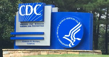 'Break-Bone Fever' Is Entering the U.S. From Asia, Africa.