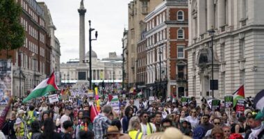 British Red Cross Paying for Families of 'Asylum Seekers' to Immigrate – RedState