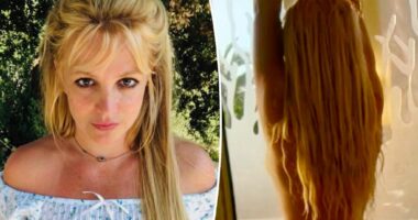 Britney Spears flaunts figure in nothing but knee-high boots