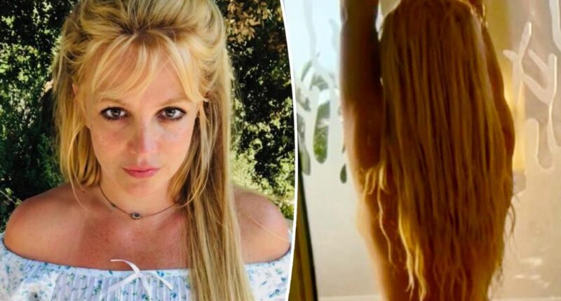 Britney Spears flaunts figure in nothing but knee-high boots