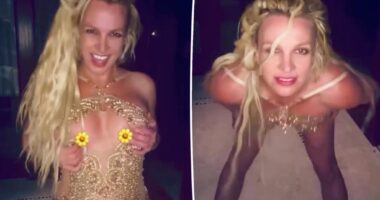Britney Spears suffers wardrobe malfunction in gold minidress