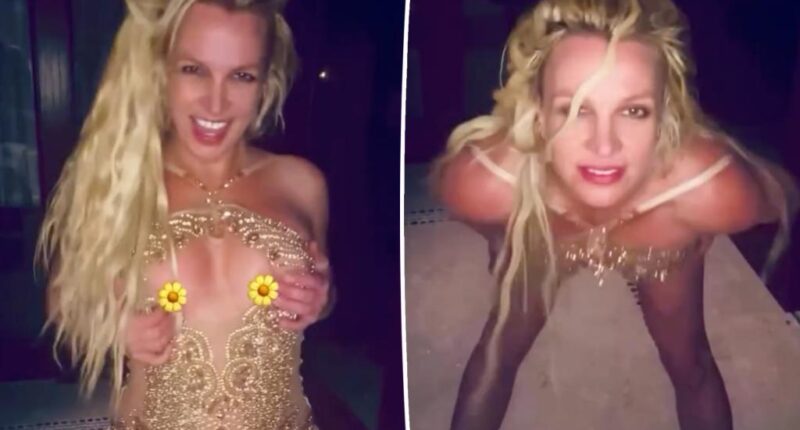 Britney Spears suffers wardrobe malfunction in gold minidress