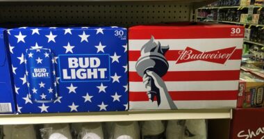 Bud Light Parent Company’s Shares Plunge Again.