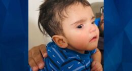 California Mother Allegedly Knocked Unconcious, 7-Month-Old Son ‘Snatched’ by Stranger