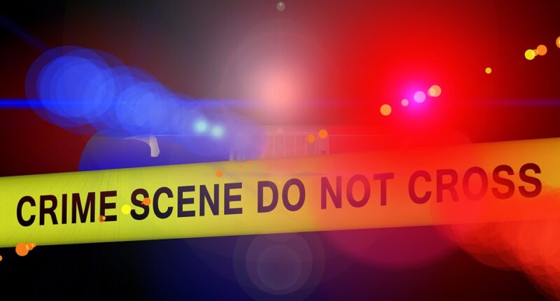 California Police Investigate Triple Murder in Remote Desert Valley