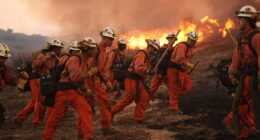 California wildfires: Thousands near LA ordered to evacuate as fast-moving Canyon fire spreads