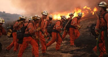 California wildfires: Thousands near LA ordered to evacuate as fast-moving Canyon fire spreads