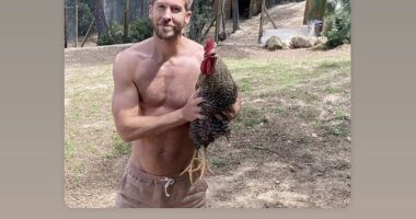 Calvin Harris has revealed his heartbreak after his much-loved cockerel Smokey was savagely killed by his neighbours’ dogs on Instagram on Tuesday