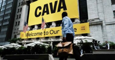 Cava trims its sales outlook, and shares tumble. Its CEO says consumers are navigating a ‘fog.’