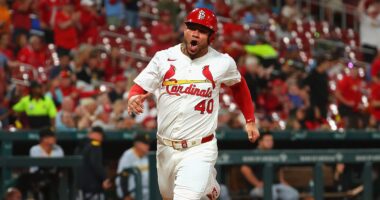 Chaos Erupts in St. Louis as Contreras Loses His Cool