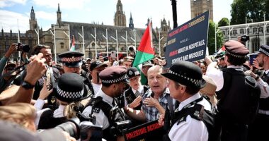 Palestine Action supporters have swarmed London's Parliament Square as hundreds of police officers have begun carrying out arrests