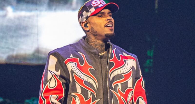 Chris Brown & Influencer Jada Wallace Fuel Dating Rumors After She Pops Out With Royalty