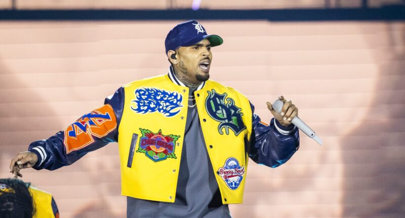 Chris Brown Reacts Fan Says Drug Use Fuels His Work Ethic