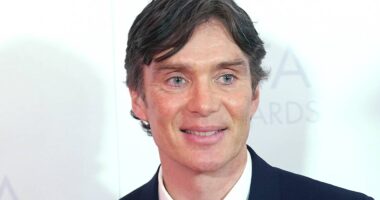 Cillian Murphy's 80% Rotten Tomatoes Horror (That Deserves a Reboot) Finds a New Streaming Home