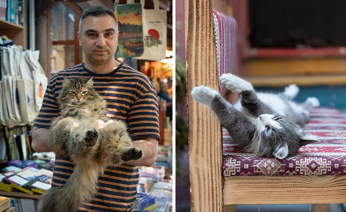 City Cats Of Istanbul: 30 Beautiful Moments Captured By Marcel Heijnen