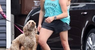 Conjoined twins Abby and Brittany Hensel were spotted out with their Labradoodl pups this week, taking it to a groomer