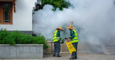 The epicenter is the city of Foshan, on China's southern coast, where heavy rains and warm temperatures have led to an explosion in the mosquito population