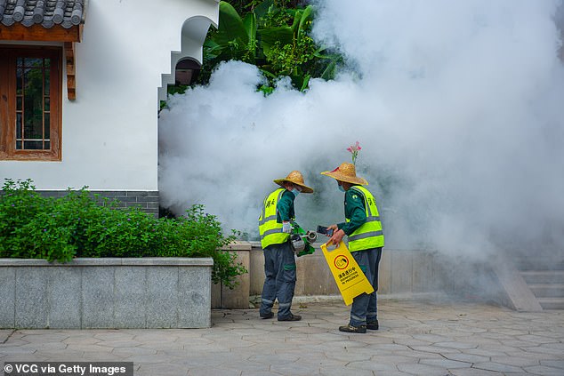 The epicenter is the city of Foshan, on China's southern coast, where heavy rains and warm temperatures have led to an explosion in the mosquito population