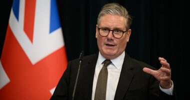 ‘If you come to this country and commit a crime, we will deport you as soon as possible,’ declares Prime Minister Sir Keir Starmer, in what is doubtlessly meant to be a manly tone