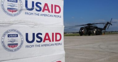 USAID pallets