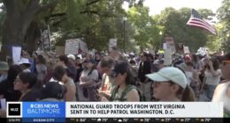 D.C. Dems Are Furious At Trump For Stopping All The Homicides