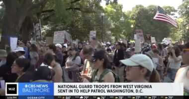 D.C. Dems Are Furious At Trump For Stopping All The Homicides