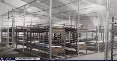 DHS Debunks Media Lies About 'Alligator Alcatraz'