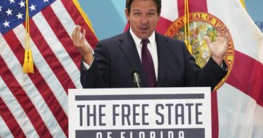 DeSantis Is 'Letting Executioners Slaughter Veterans' – HotAir