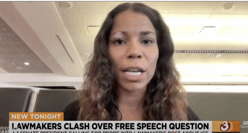 Defiant Arizona Lawmaker Could Face Charges After ICE Alert