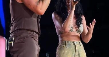 Jonas Brothers concertgoers were pleasantly surprised on Sunday evening, when Demi Lovato, 32, reunited with her ex-boyfriend Joe Jonas, 35, on stage in New Jersey at MetLife Stadium, where she performed on a pair of songs