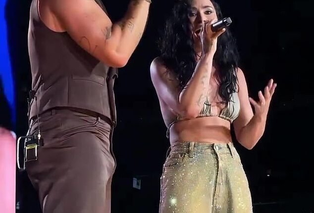 Jonas Brothers concertgoers were pleasantly surprised on Sunday evening, when Demi Lovato, 32, reunited with her ex-boyfriend Joe Jonas, 35, on stage in New Jersey at MetLife Stadium, where she performed on a pair of songs